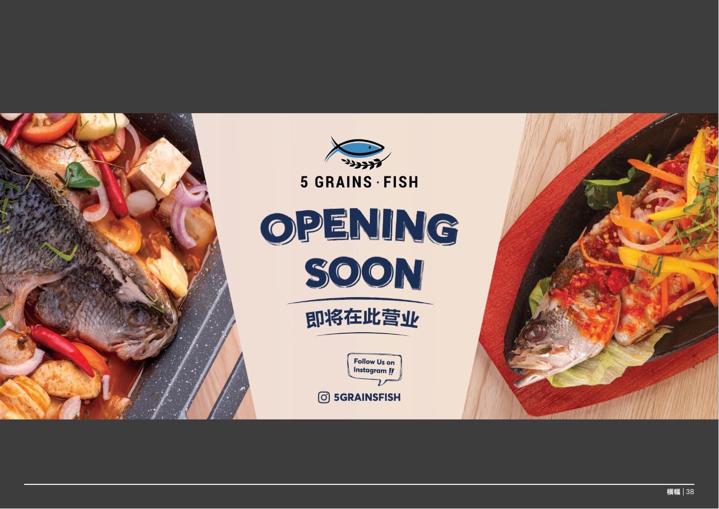 5 Grains Fish poster design